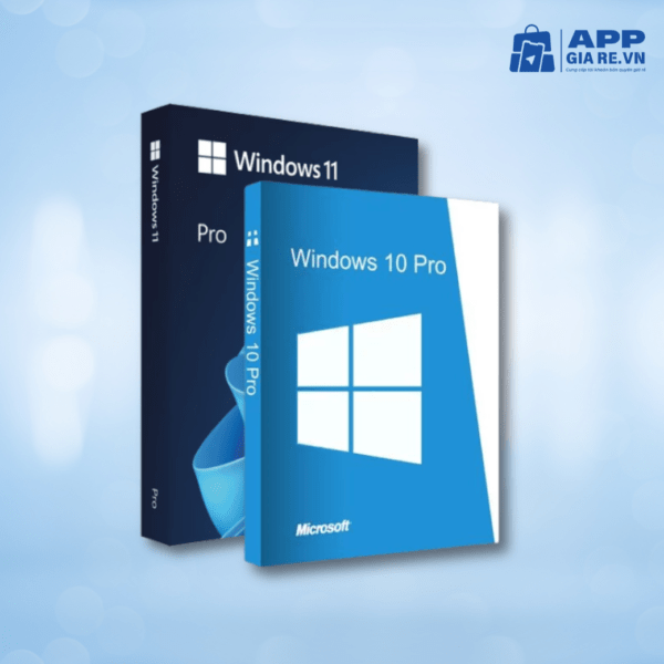 Windows 10 11 Pro Retail Online 1PC 1 nam